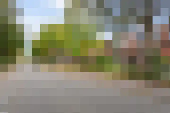 Julianalaan 110 Bergschenhoek thumbnail 6