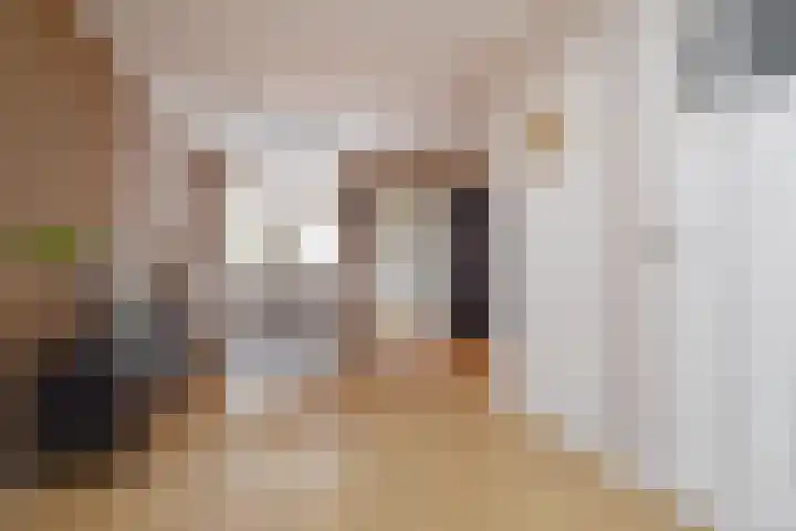 Julianalaan 110 Bergschenhoek thumbnail 9