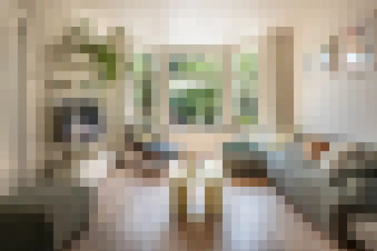 Julianalaan 113 Overveen thumbnail 15