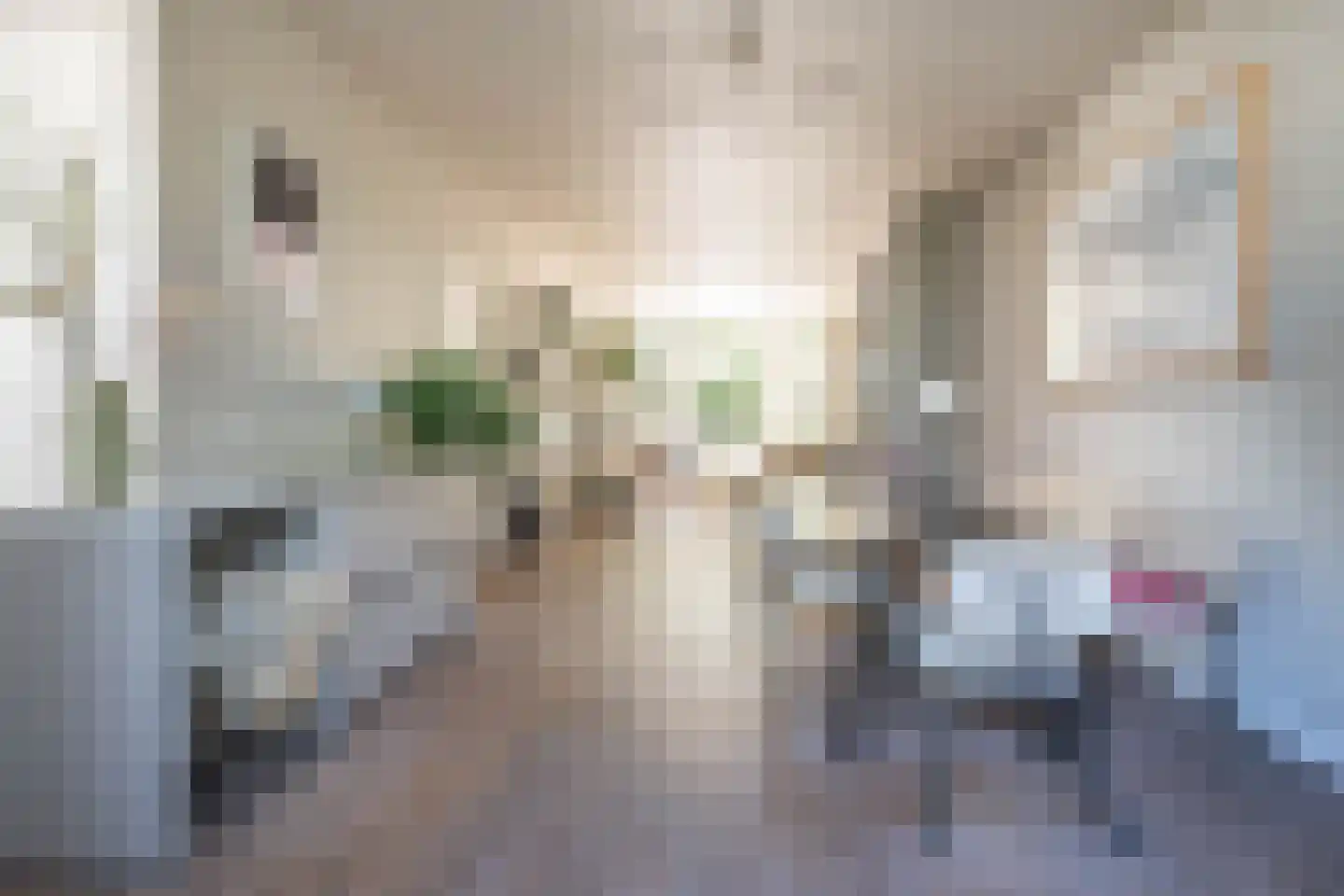 Julianalaan 113 Overveen thumbnail 17