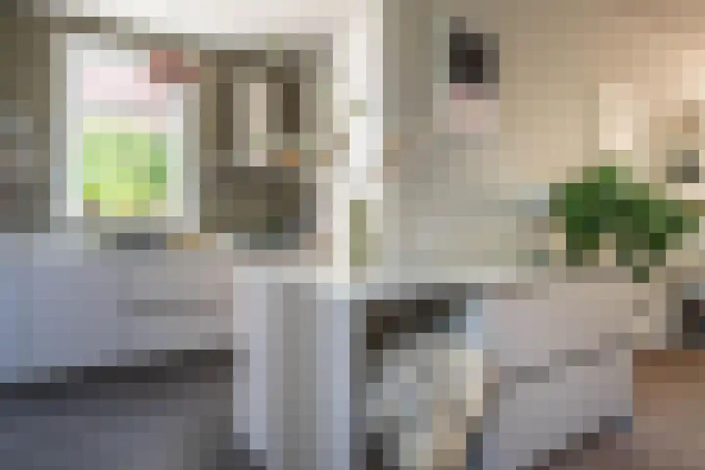 Julianalaan 113 Overveen thumbnail 19
