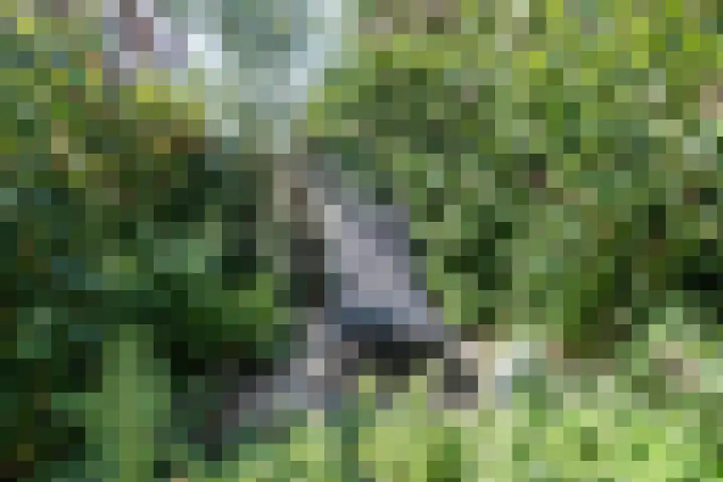 Julianalaan 113 Overveen thumbnail 30