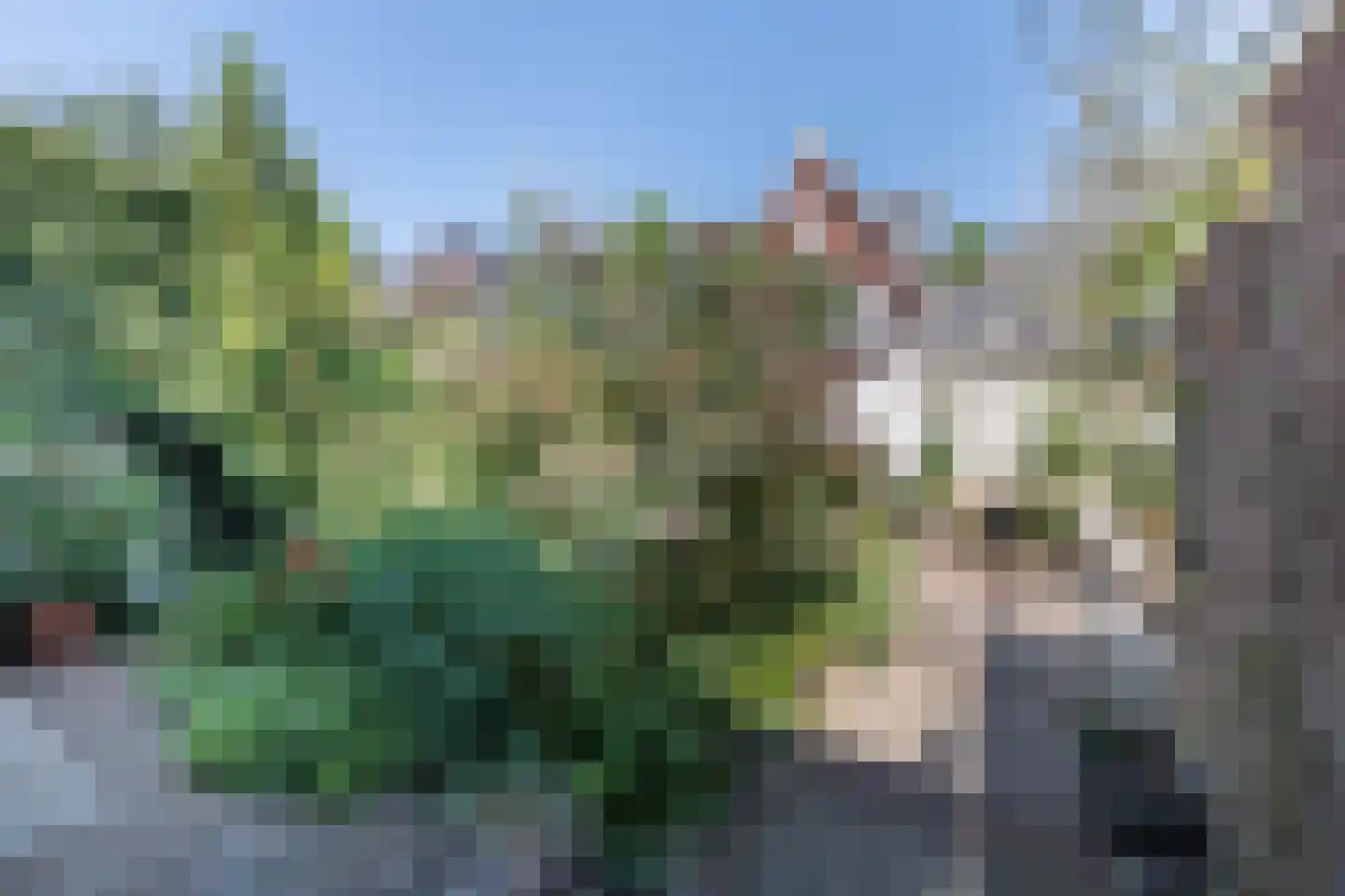 Julianalaan 113 Overveen thumbnail 31