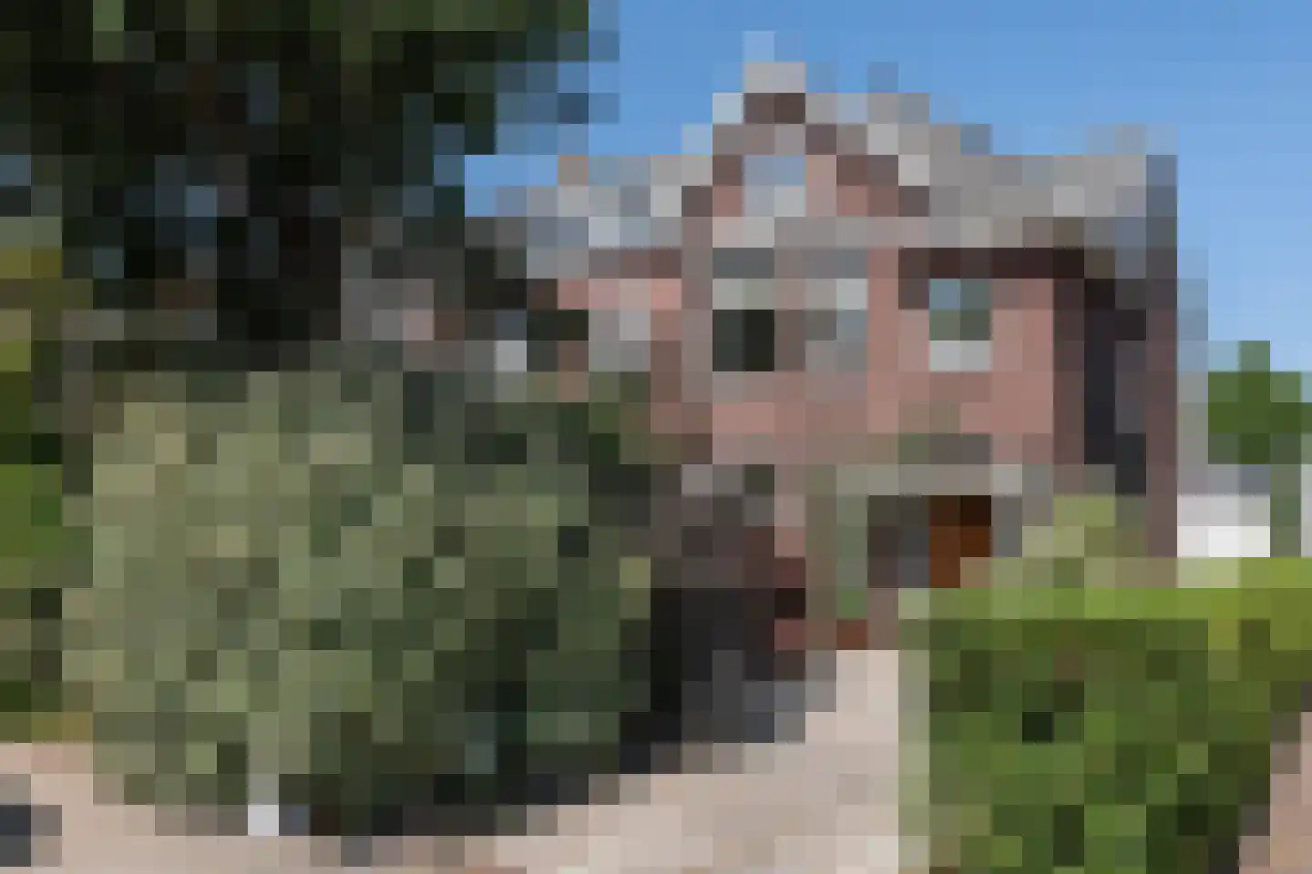 Julianalaan 113 Overveen thumbnail 4