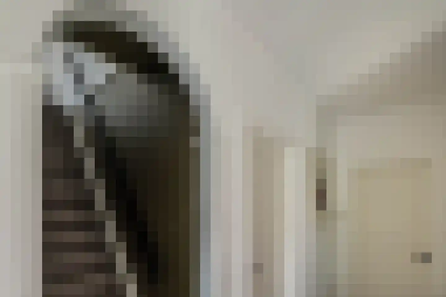 Julianalaan 113 Overveen thumbnail 45