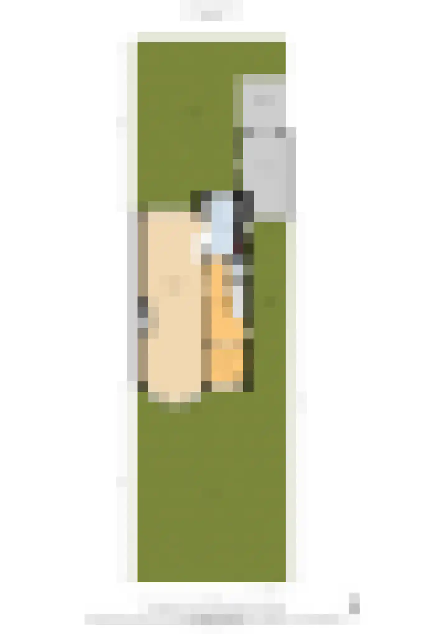 Julianalaan 113 Overveen thumbnail 59