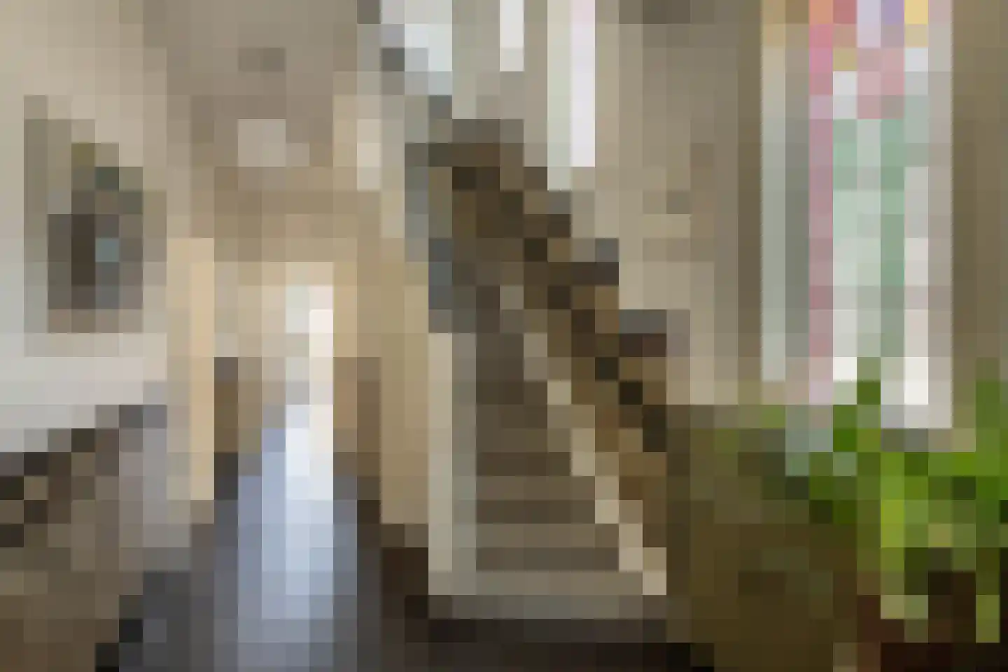 Julianalaan 113 Overveen thumbnail 6