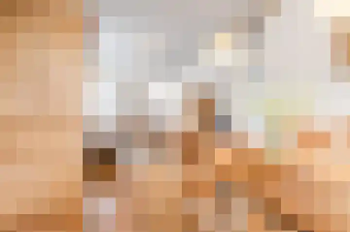Julianalaan 113 Raamsdonksveer thumbnail 10
