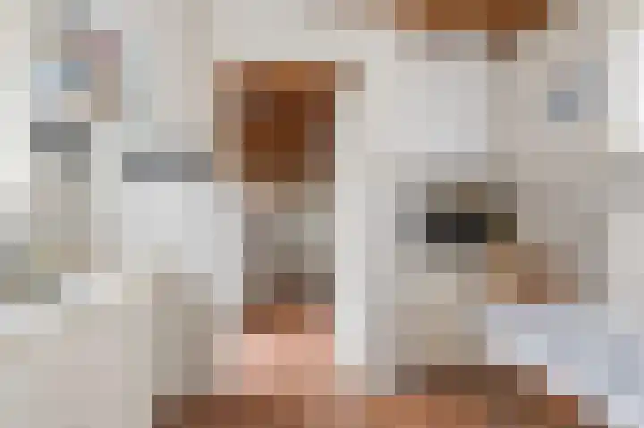 Julianalaan 113 Raamsdonksveer thumbnail 12
