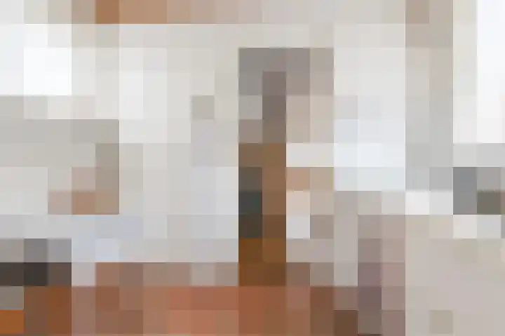 Julianalaan 113 Raamsdonksveer thumbnail 13