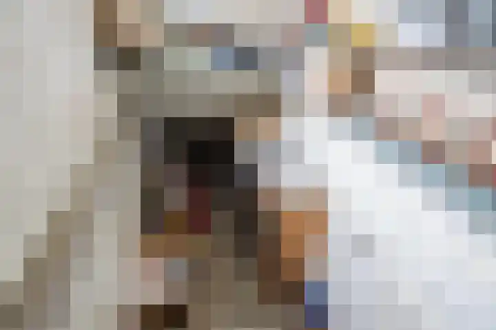Julianalaan 113 Raamsdonksveer thumbnail 15