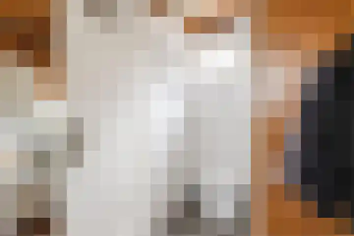 Julianalaan 113 Raamsdonksveer thumbnail 18