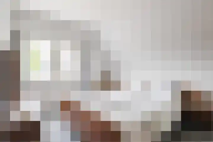 Julianalaan 113 Raamsdonksveer thumbnail 19