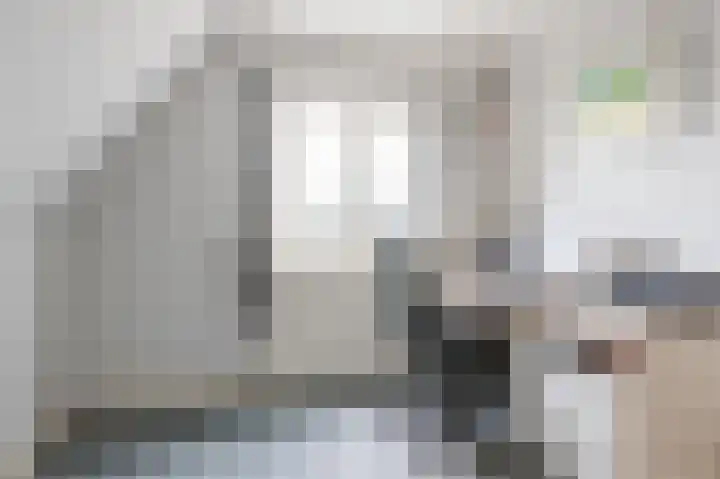 Julianalaan 113 Raamsdonksveer thumbnail 21