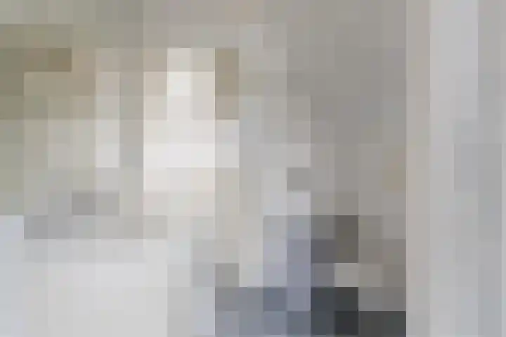 Julianalaan 113 Raamsdonksveer thumbnail 23