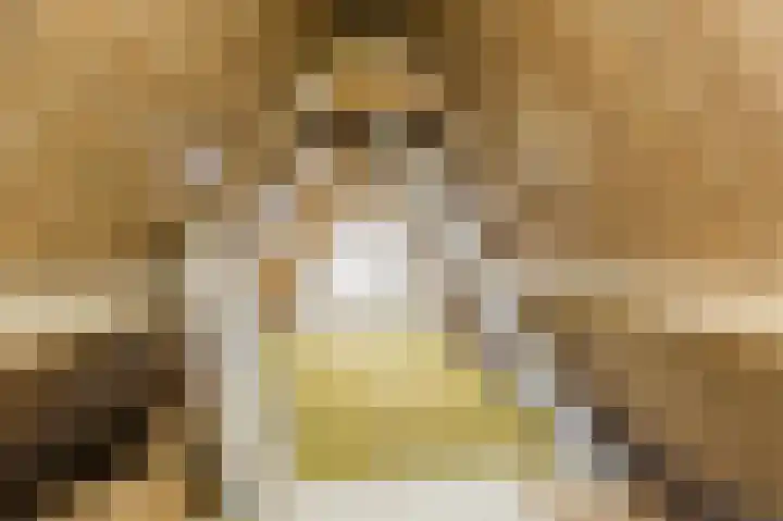 Julianalaan 113 Raamsdonksveer thumbnail 25