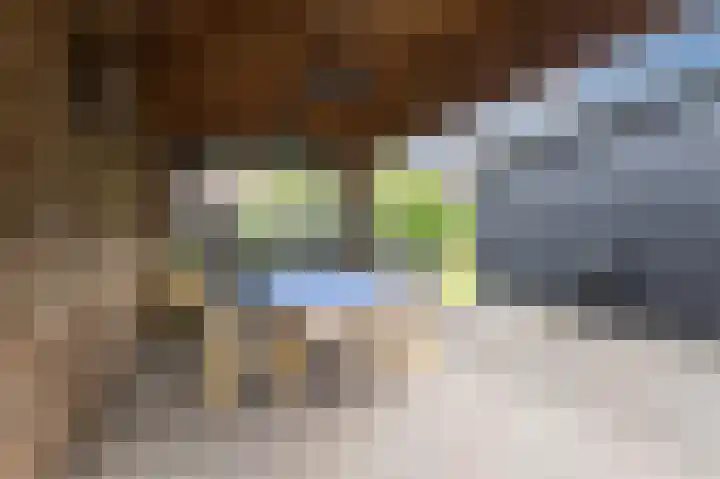 Julianalaan 113 Raamsdonksveer thumbnail 28