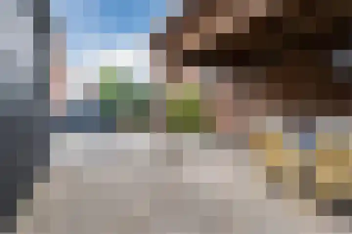 Julianalaan 113 Raamsdonksveer thumbnail 29