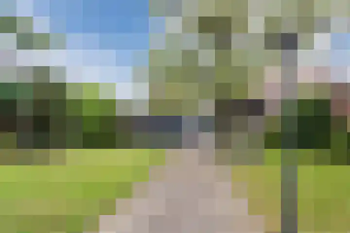 Julianalaan 113 Raamsdonksveer thumbnail 30