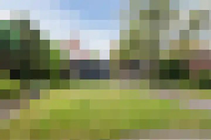 Julianalaan 113 Raamsdonksveer thumbnail 31