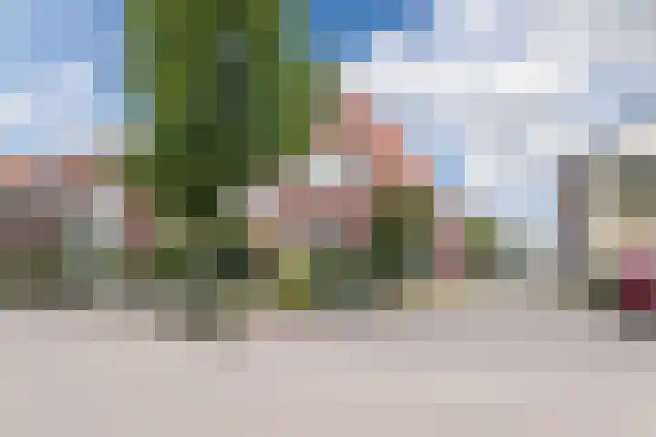 Julianalaan 113 Raamsdonksveer thumbnail 32