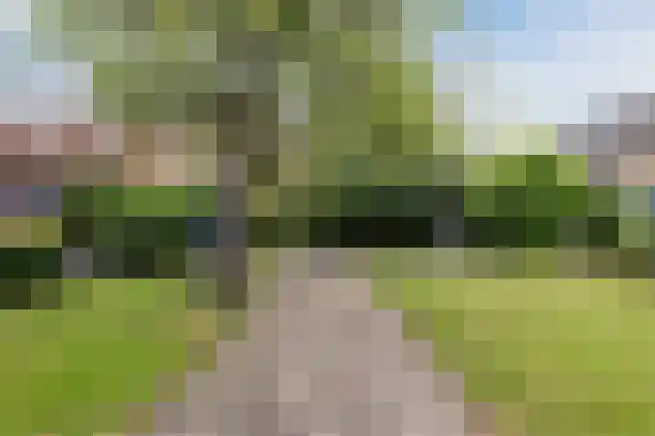 Julianalaan 113 Raamsdonksveer thumbnail 4