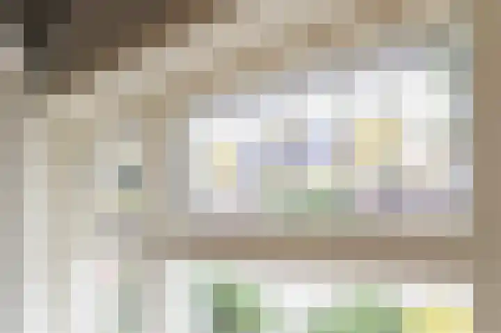 Julianalaan 113 Raamsdonksveer thumbnail 5