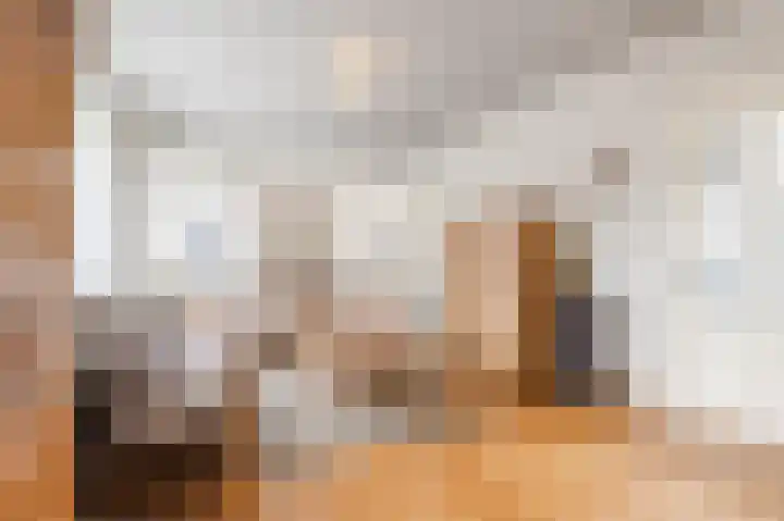Julianalaan 113 Raamsdonksveer thumbnail 8