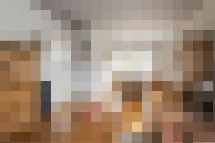 Julianalaan 113 Raamsdonksveer thumbnail 9
