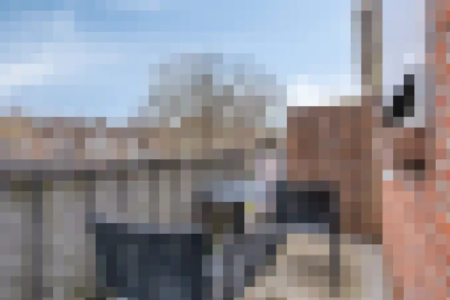 Julianalaan 119 Delft thumbnail 20
