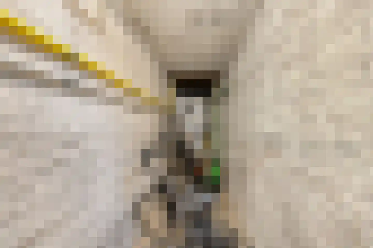 Julianalaan 119 Delft thumbnail 7