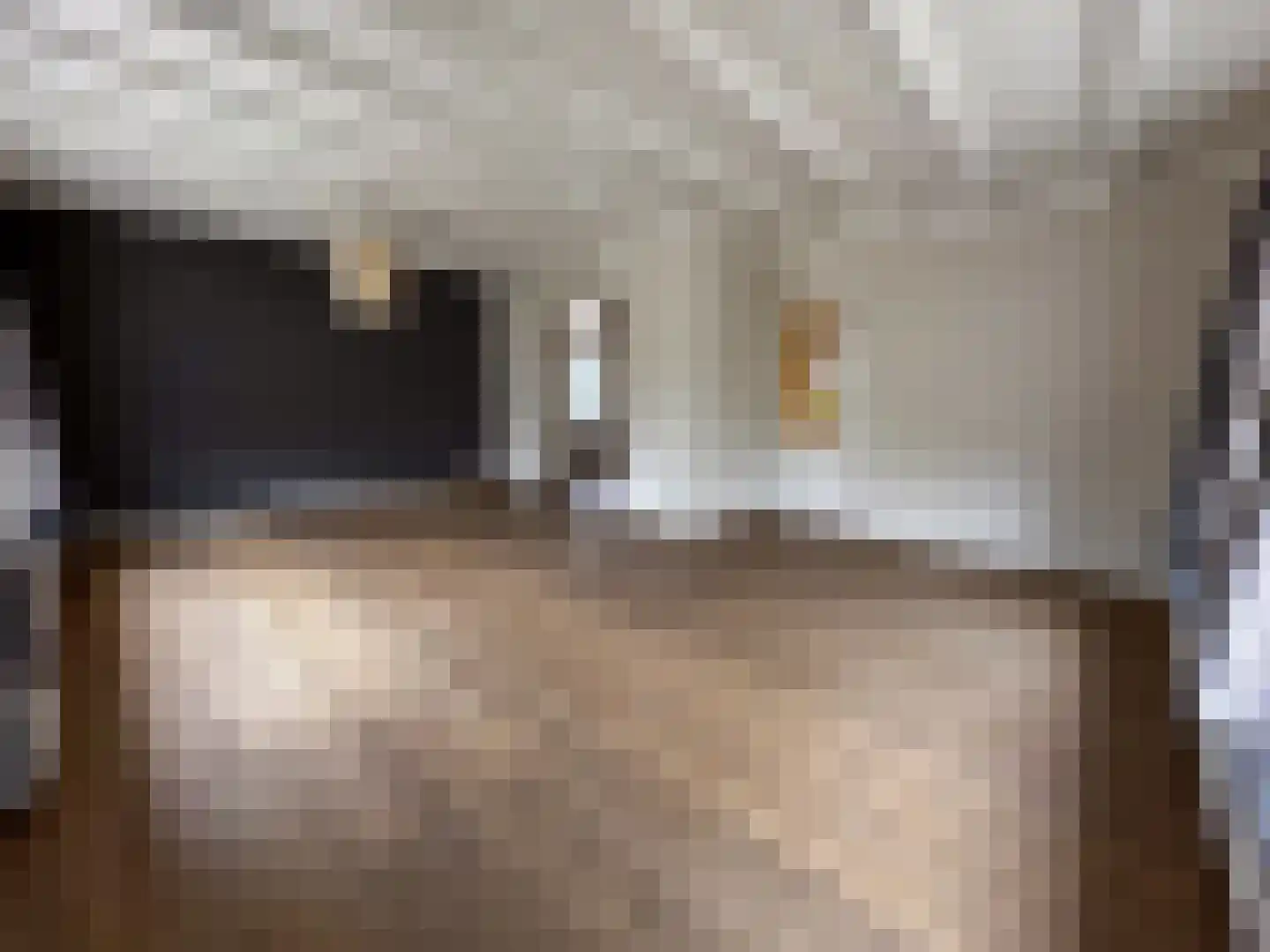 Julianalaan 12 a Wernhout thumbnail 11
