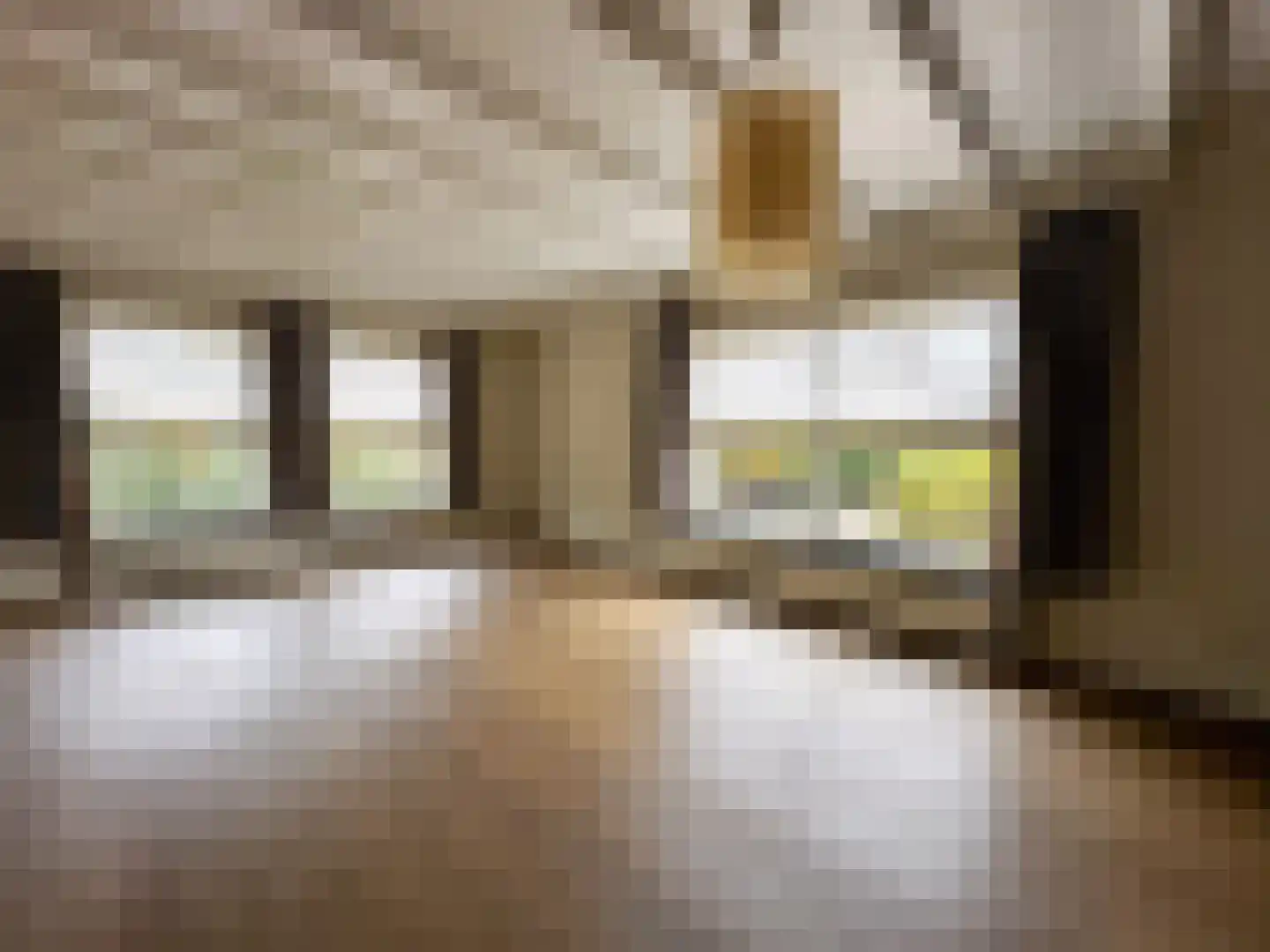 Julianalaan 12 a Wernhout thumbnail 13
