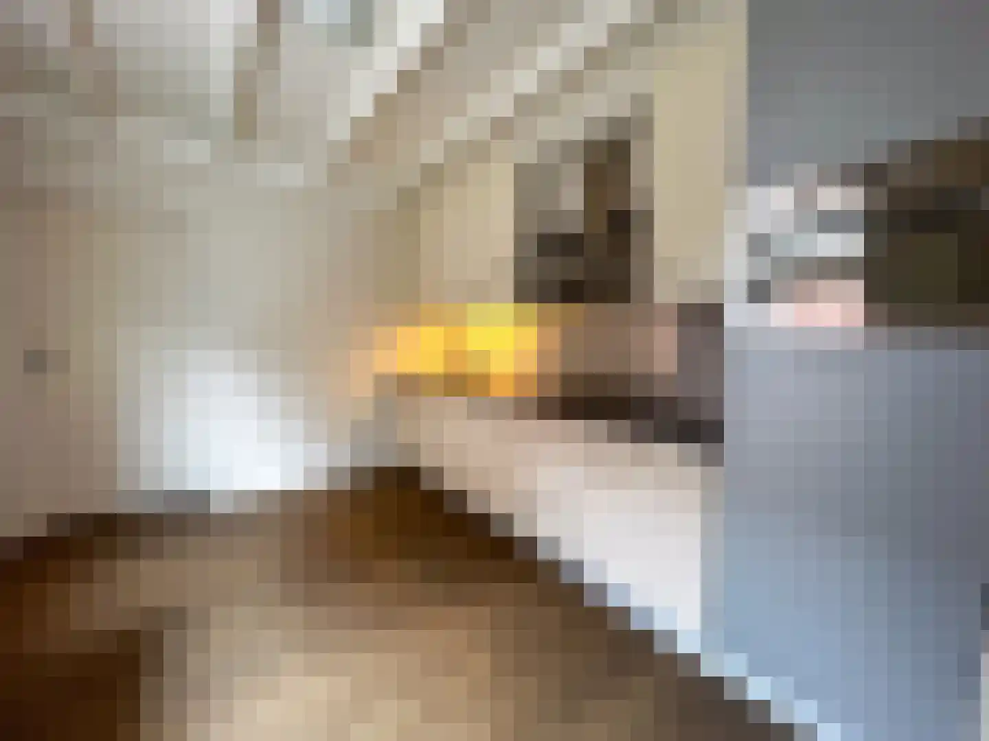 Julianalaan 12 a Wernhout thumbnail 14