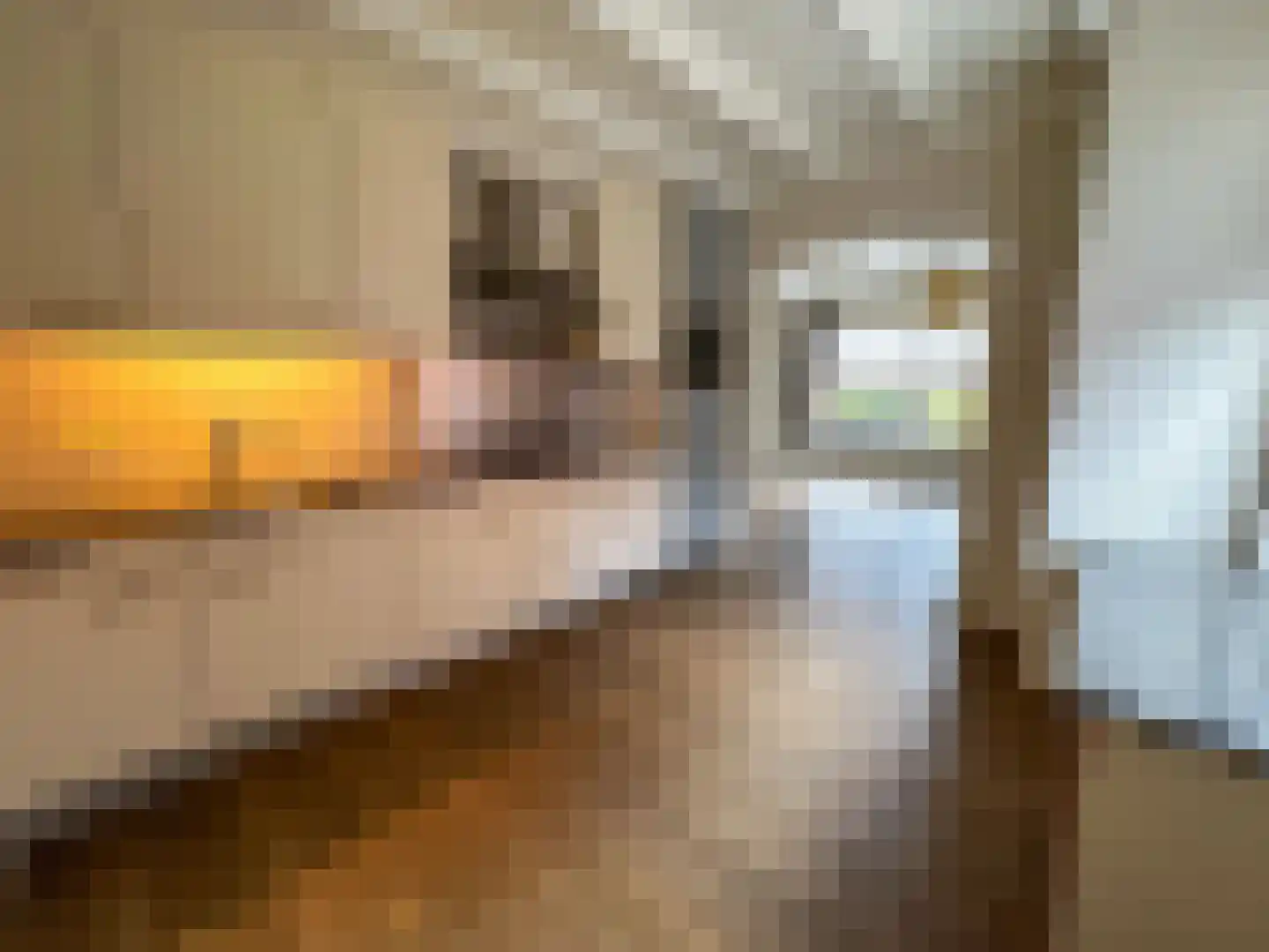 Julianalaan 12 a Wernhout thumbnail 16