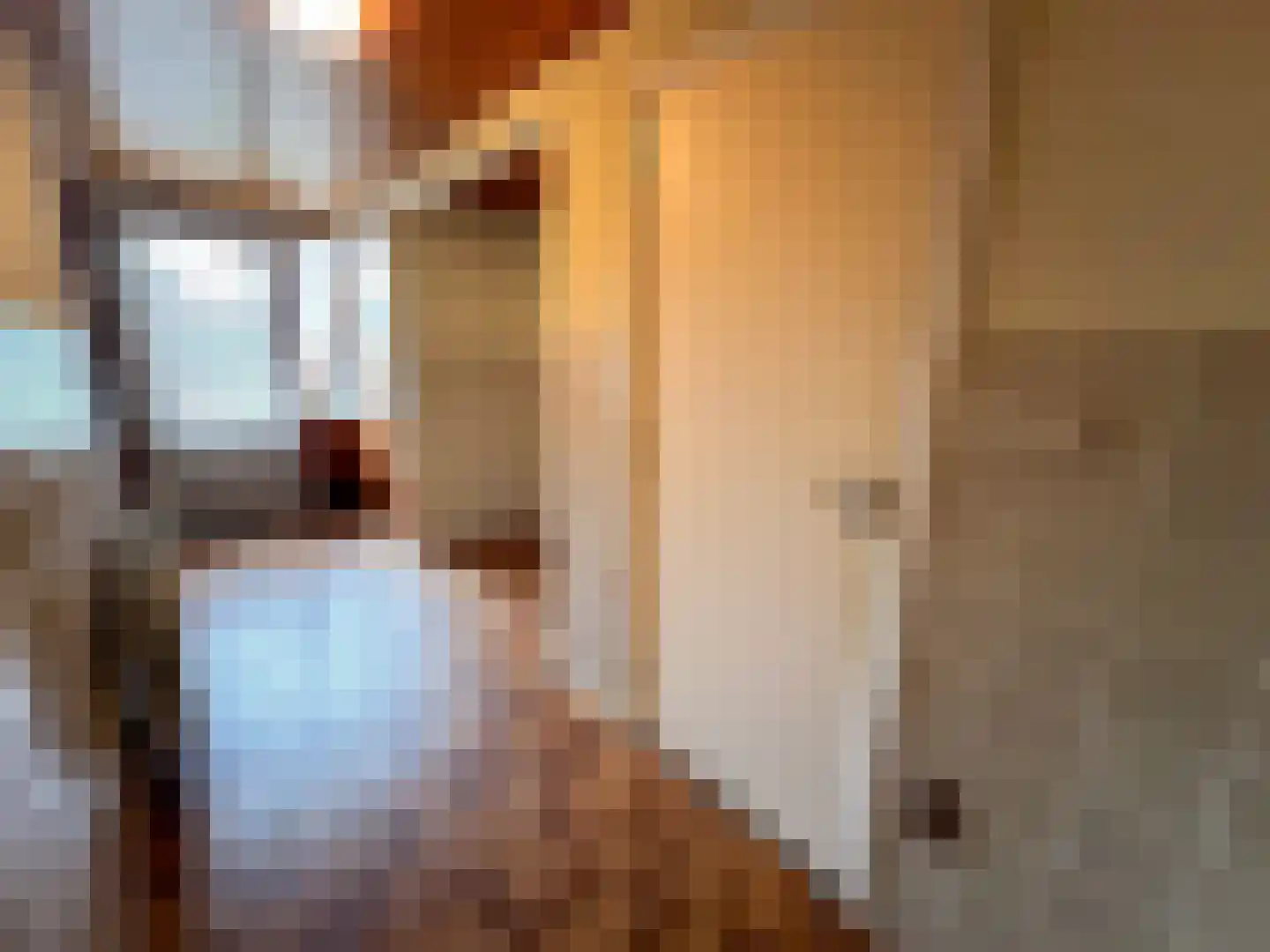 Julianalaan 12 a Wernhout thumbnail 18