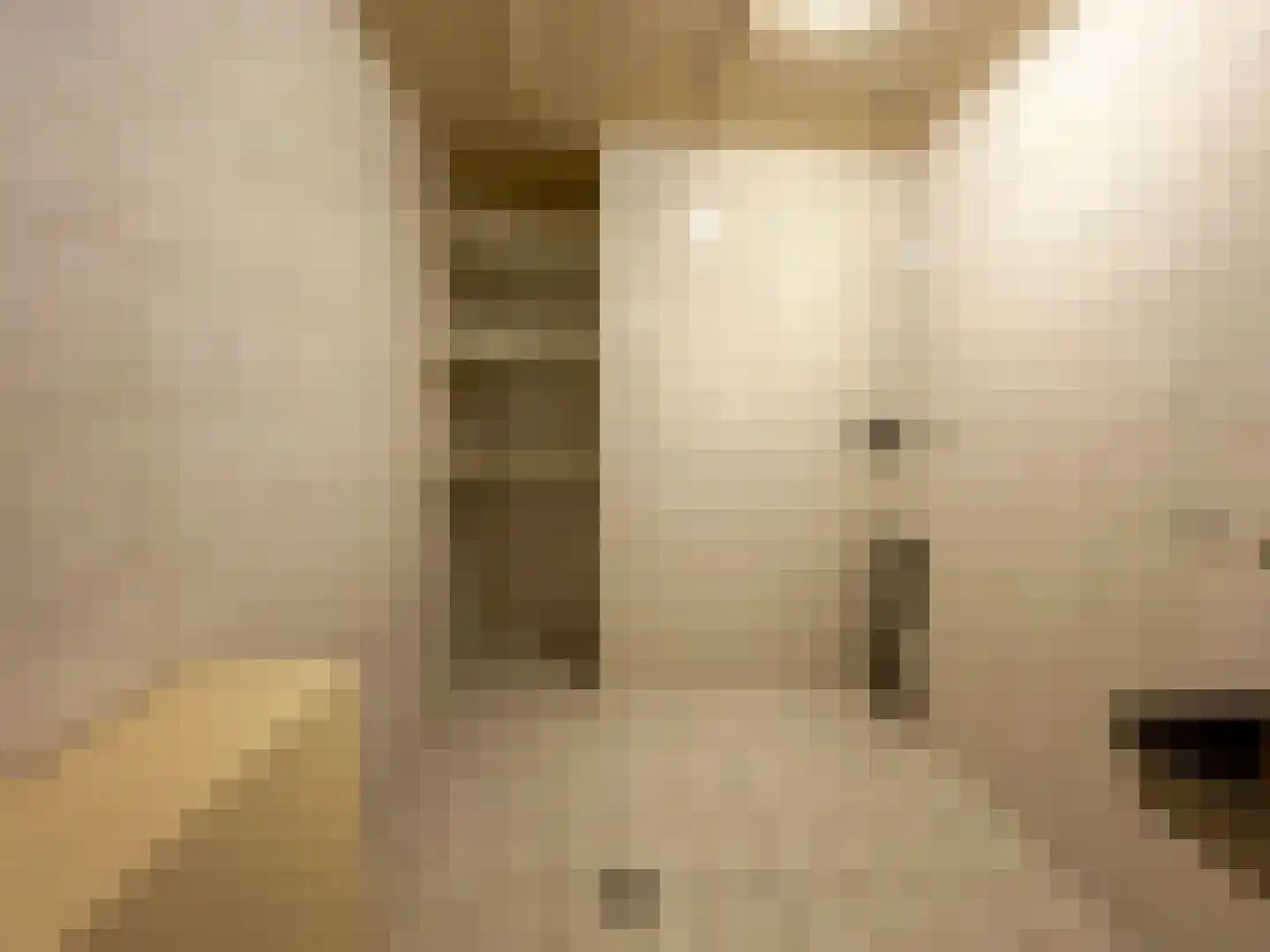 Julianalaan 12 a Wernhout thumbnail 19