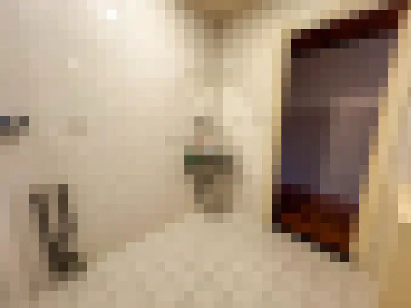 Julianalaan 12 a Wernhout thumbnail 20