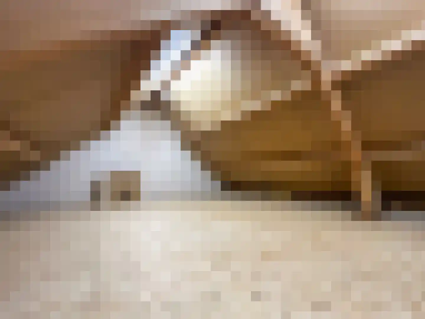 Julianalaan 12 a Wernhout thumbnail 22