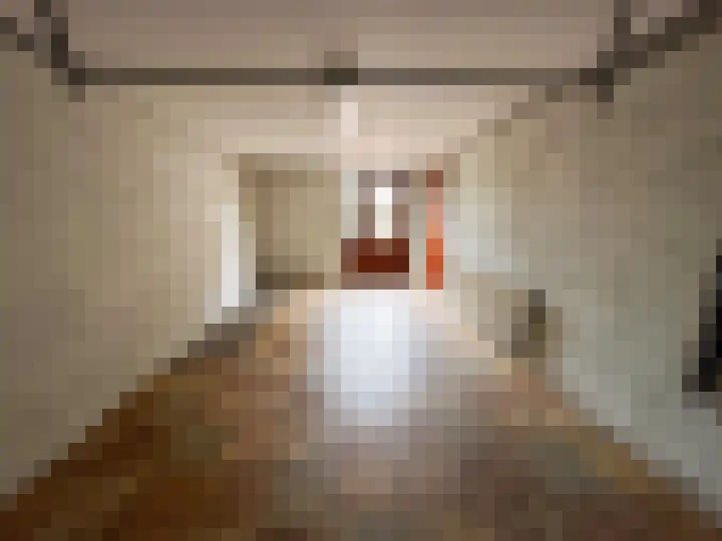 Julianalaan 12 a Wernhout thumbnail 25