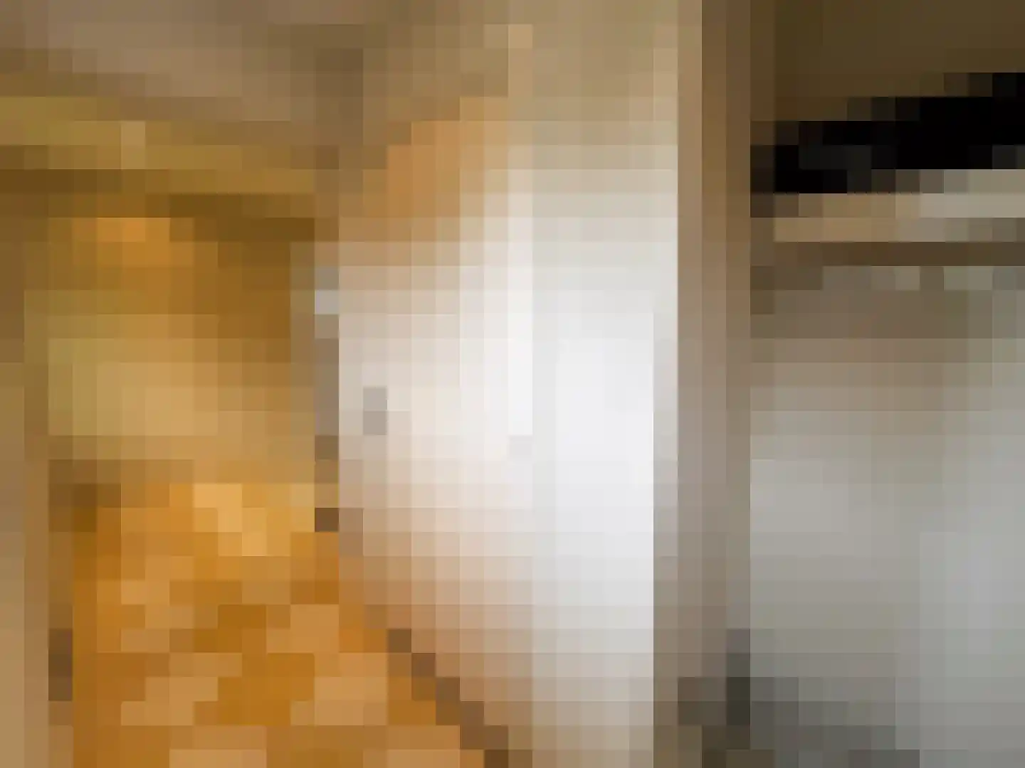 Julianalaan 12 a Wernhout thumbnail 27