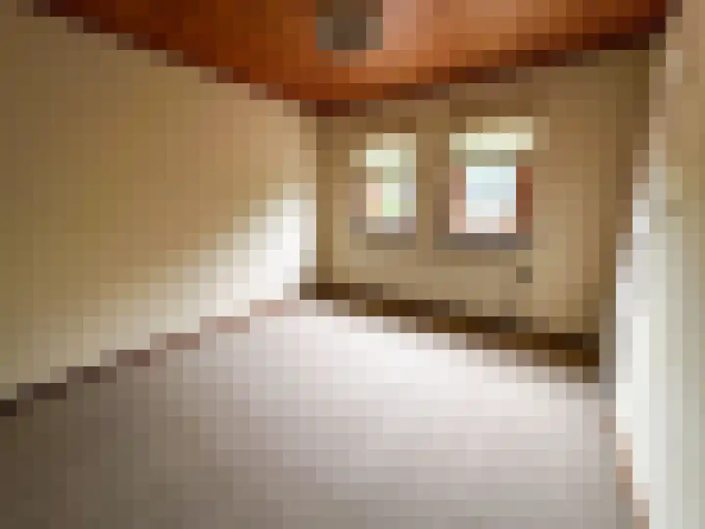 Julianalaan 12 a Wernhout thumbnail 28