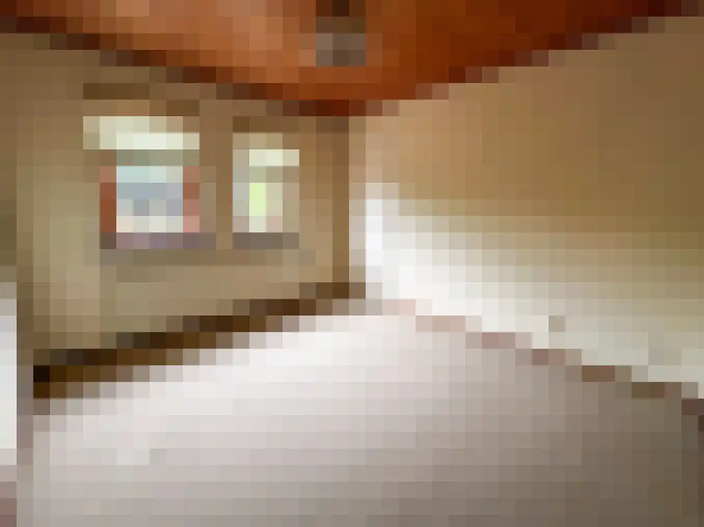 Julianalaan 12 a Wernhout thumbnail 29