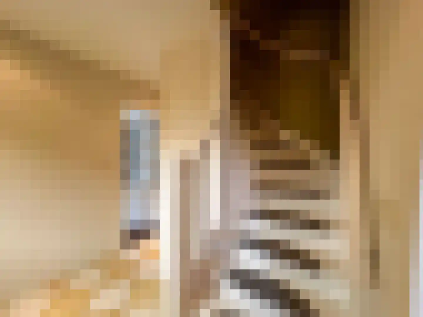 Julianalaan 12 a Wernhout thumbnail 30