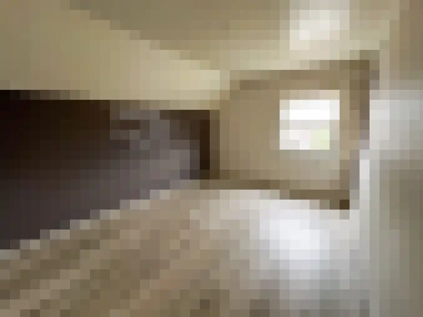 Julianalaan 12 a Wernhout thumbnail 31