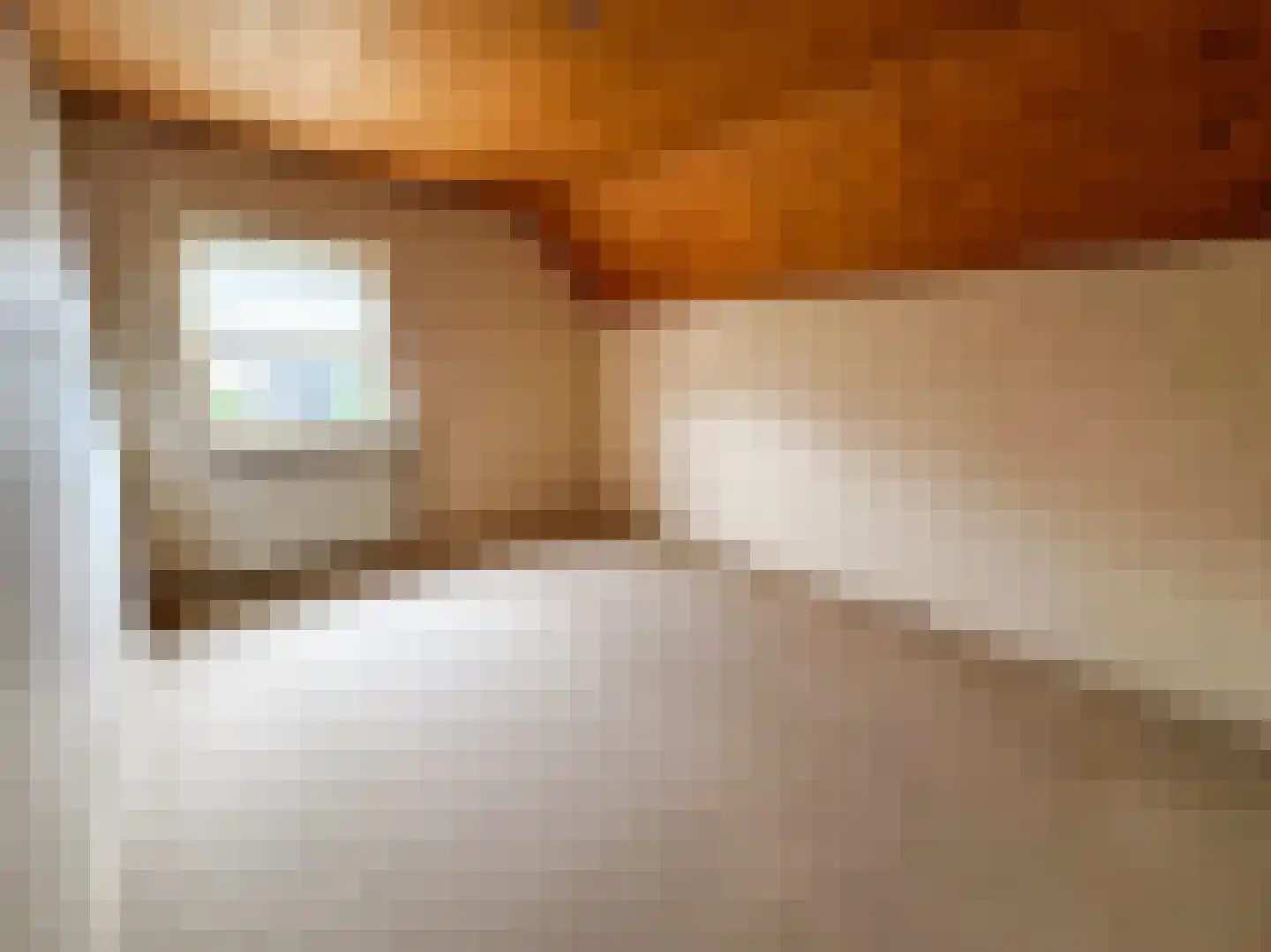 Julianalaan 12 a Wernhout thumbnail 33