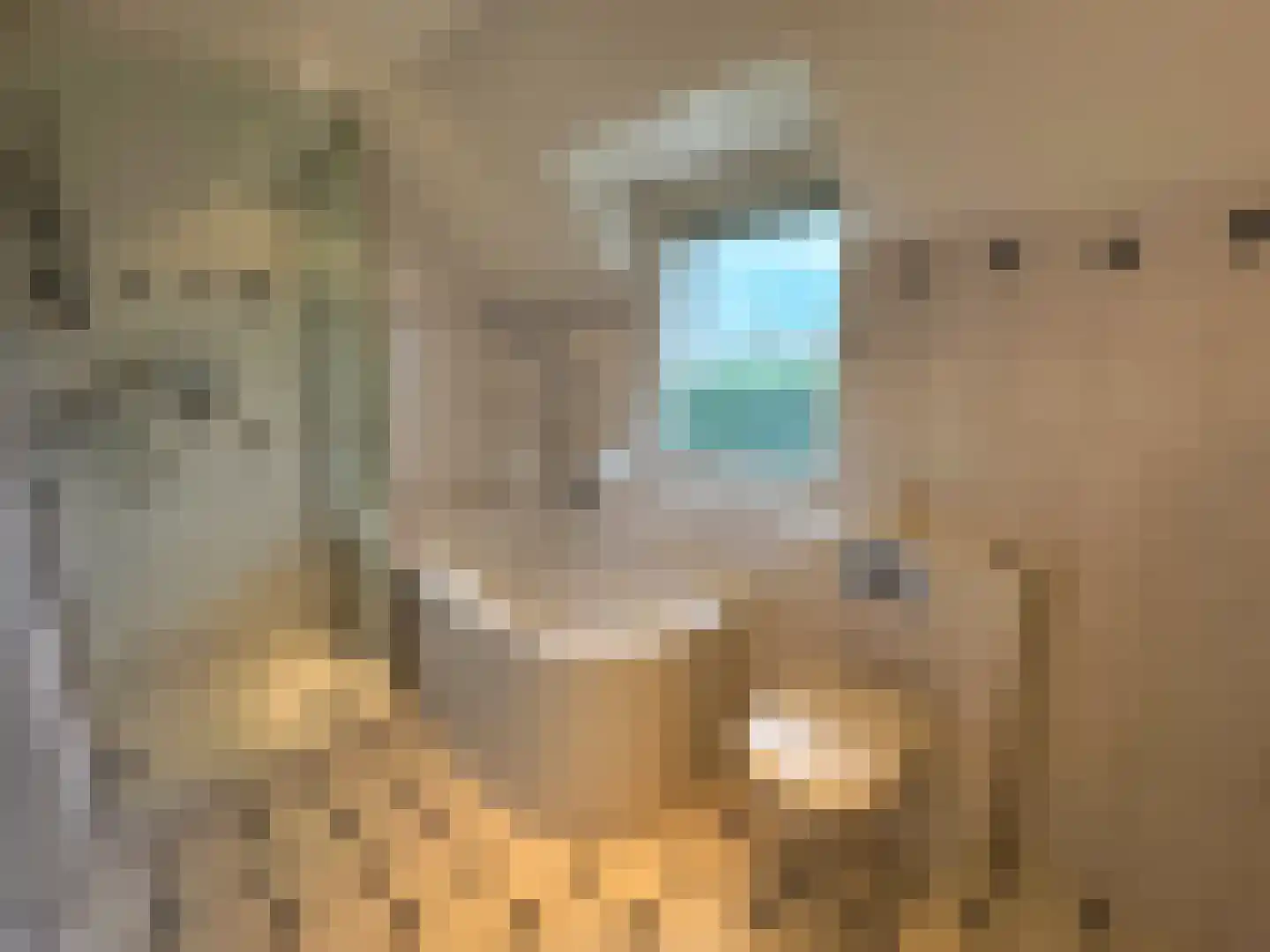 Julianalaan 12 a Wernhout thumbnail 35
