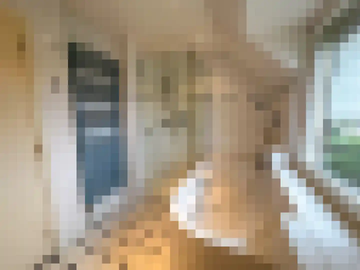 Julianalaan 12 a Wernhout thumbnail 36