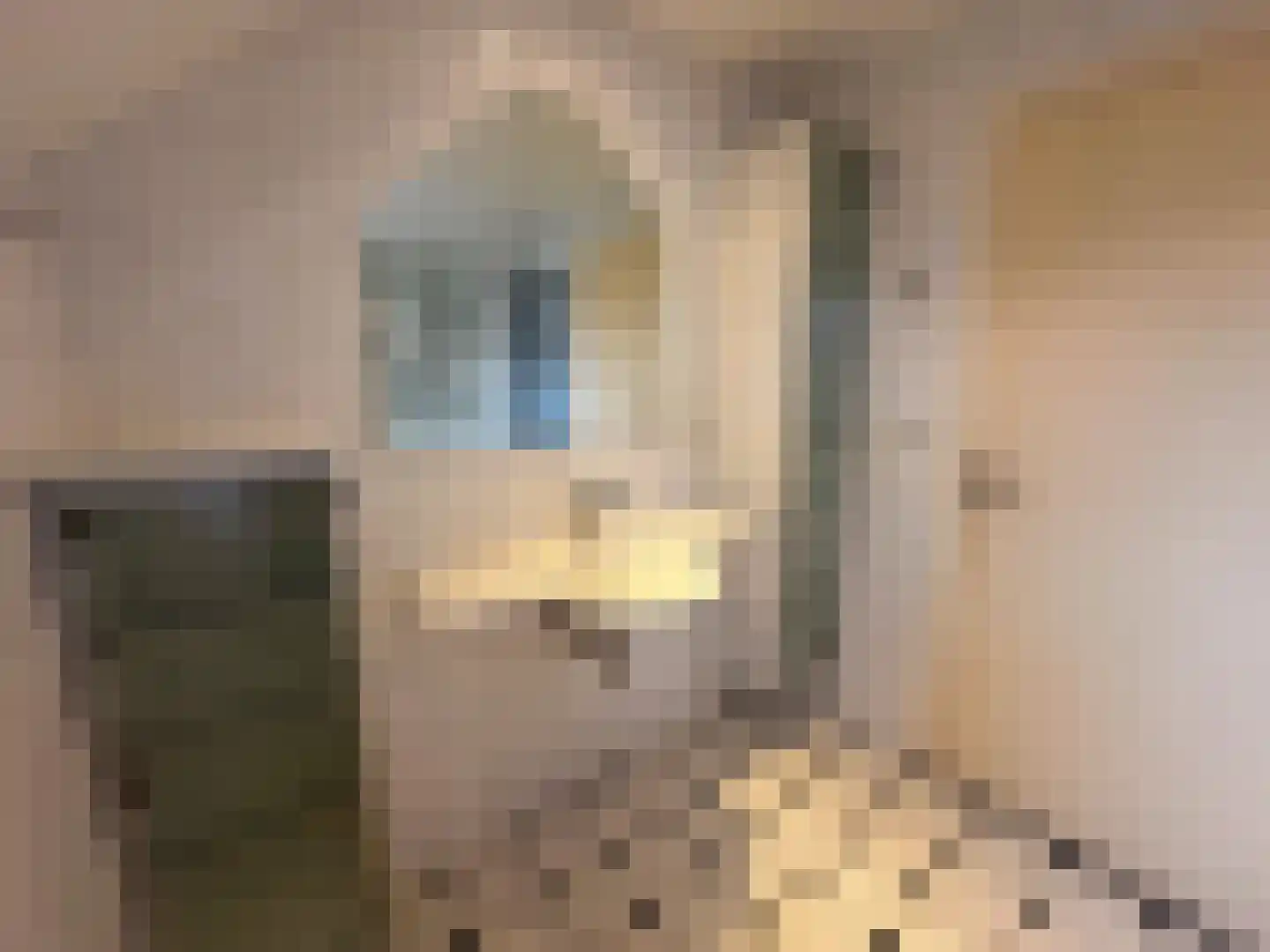 Julianalaan 12 a Wernhout thumbnail 37