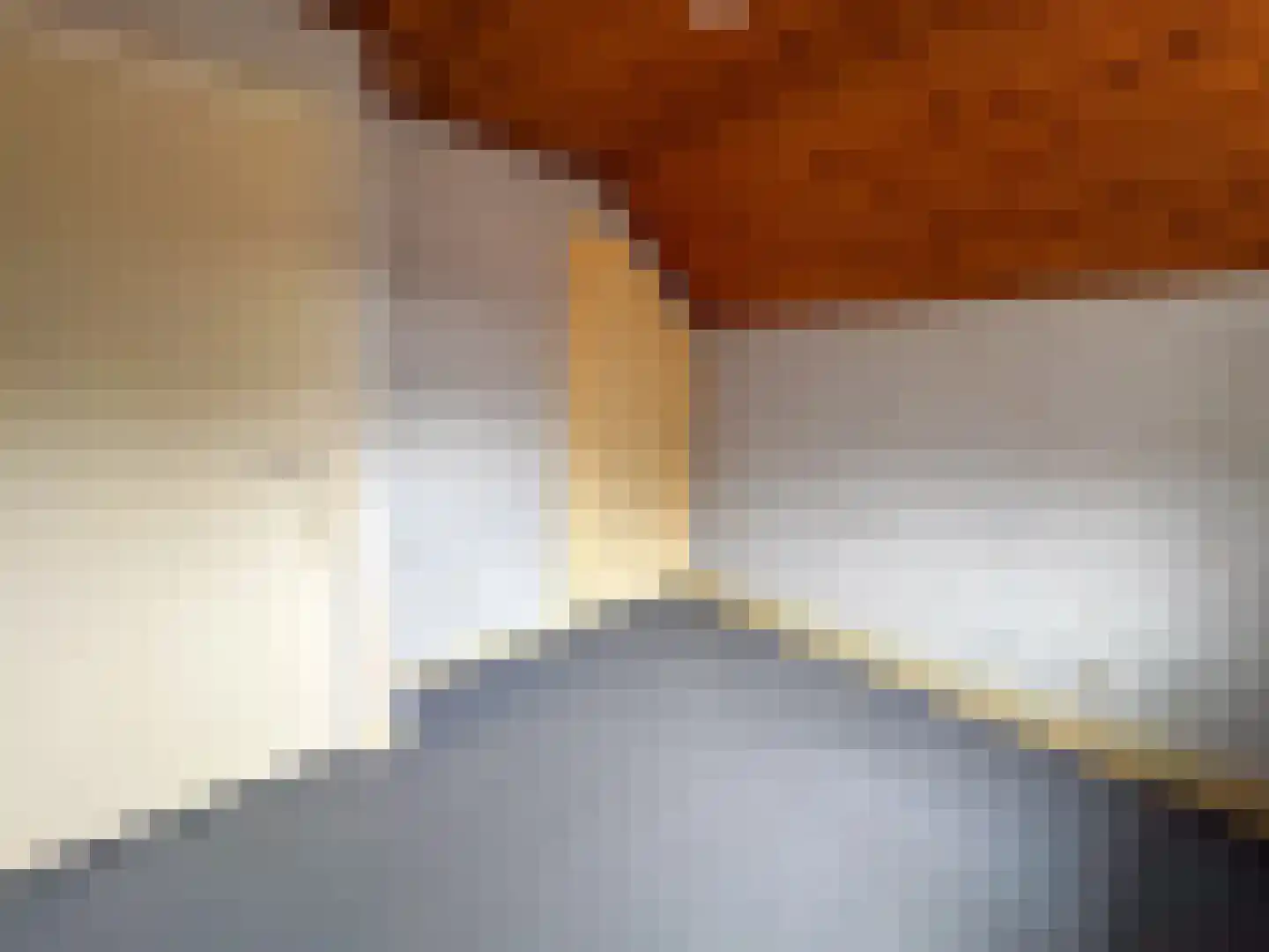 Julianalaan 12 a Wernhout thumbnail 39